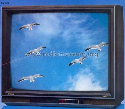 Color TV FS-938 Ch= 260-0; Siemens & Halske, - (ID = 1022672) Fernseh-E