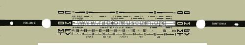 RR6843A/B; Siemens Italia; (ID = 937328) Radio