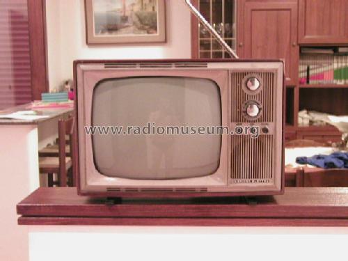 TV116 T968; Siemens Italia; (ID = 797785) Fernseh-E