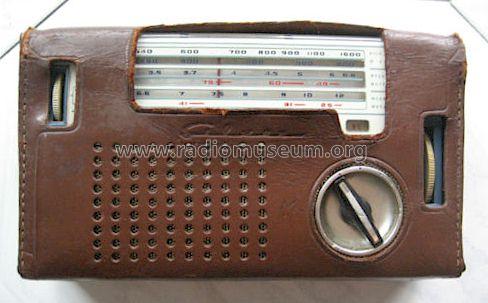 All Wave Transistor 7TS-190; Silver Brand - Shin- (ID = 1102107) Radio