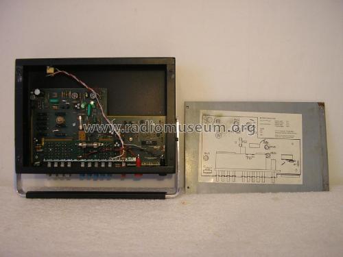 Multimeter DM 2; Sinclair Radionics (ID = 2100559) Equipment