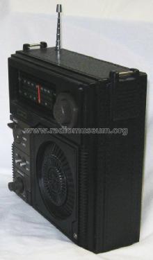 2-Wellenradio TR-188; Skyton brand of (ID = 2578765) Radio