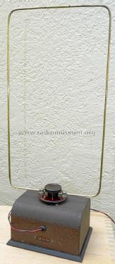 Cadre Anti-Parasites ; SOCORA; Bruxelles (ID = 1283612) RF-Ampl.