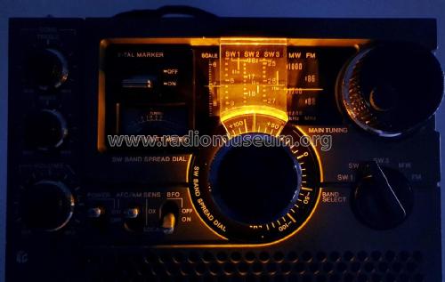 Skysensor ICF-5900; Sony Corporation; (ID = 3015017) Radio