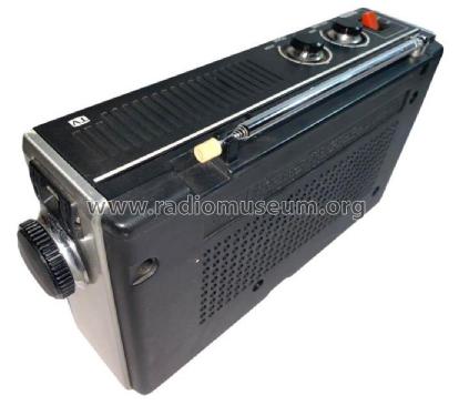 TV Sound/FM/AM 3 Band Receiver VFM-5700; Sony Corporation; (ID = 2837141) Radio