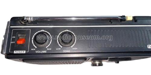 TV Sound/FM/AM 3 Band Receiver VFM-5700; Sony Corporation; (ID = 2837142) Radio