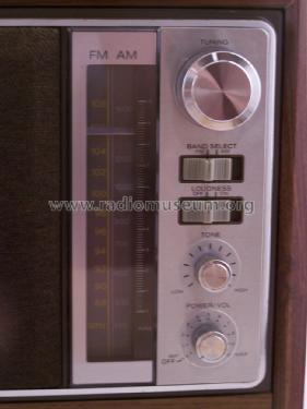 AM/FM Table Radio ICF-9740W; Sony Corporation; (ID = 1208960) Radio