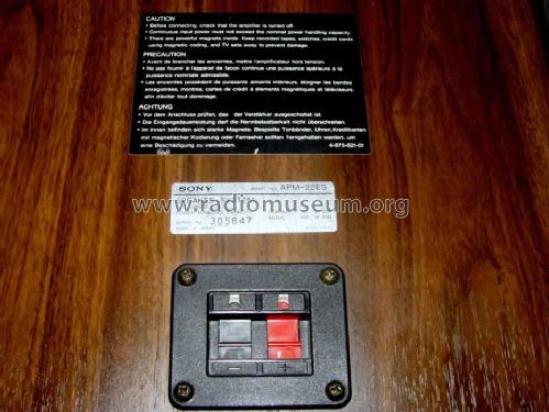 APM-22ES; Sony Corporation; (ID = 806711) Speaker-P