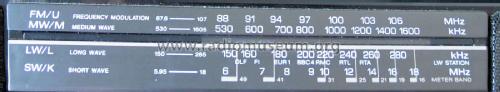 FM/MW/LW/SW Stereo Cassette - Corder CFS-210L; Sony Corporation; (ID = 1988858) Radio