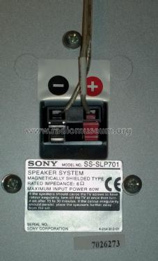 Front Speaker SS-SLP701; Sony Corporation; (ID = 1929227) Speaker-P