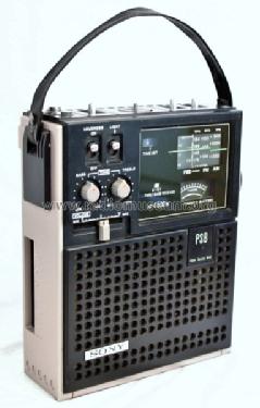 ICF-5500W; Sony Corporation; (ID = 1253023) Radio