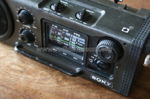 PSB/FM/AM 3Band Receiver ICF-6000W; Sony Corporation; (ID = 1217318) Radio