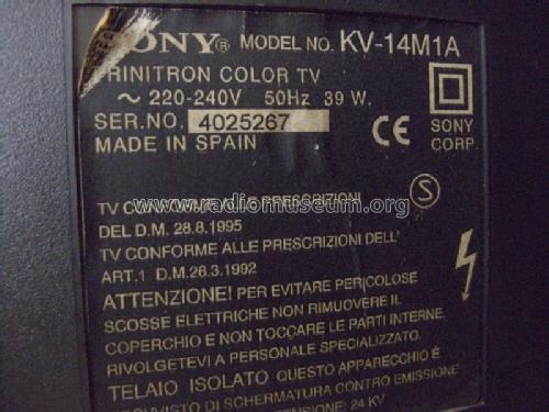 Trinitron Color TV KV-14M1A; Sony España; Hispano (ID = 1630328) Televisore