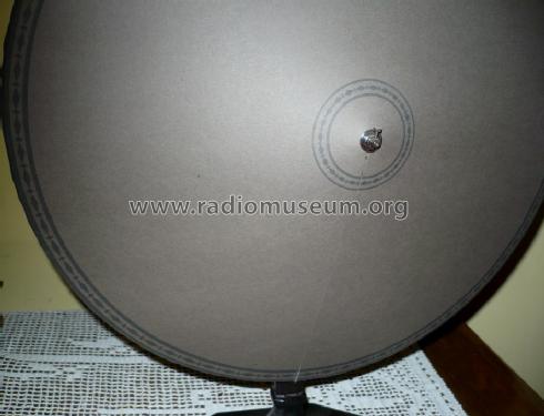 Conus speaker ; Standard; Budapest (ID = 1434993) Speaker-P