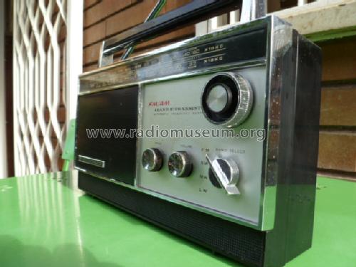 4 Band 10 Transistor Radio SR-J802FL; Standard Radio Corp. (ID = 1538232) Radio