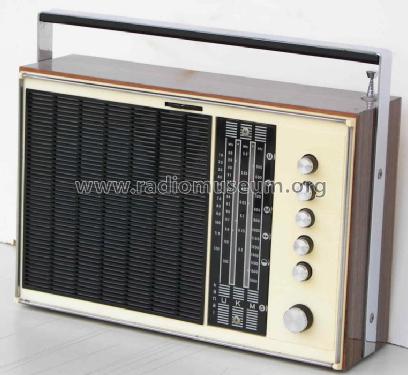 Sonneberg 6000; Stern-Radio (ID = 319979) Radio