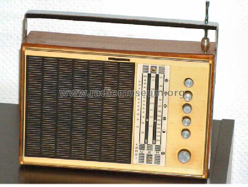 Sonneberg 6000; Stern-Radio (ID = 432845) Radio