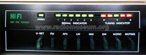 HiFi Tuner HMK-T100; Stern-Radio Berlin, (ID = 248557) Radio