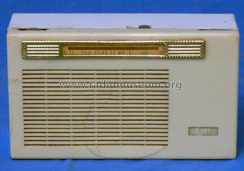 Taschenempfänger T101; Stern-Radio Berlin, (ID = 91429) Radio