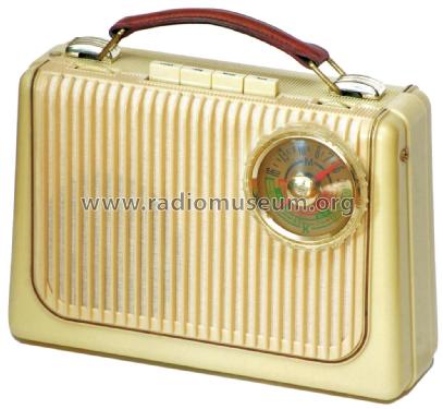 Stern 1 ; Stern-Radio Rochlitz (ID = 1904714) Radio