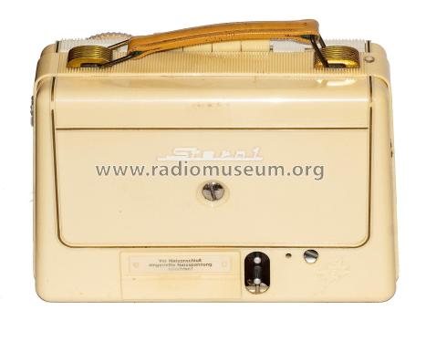 Stern 1 ; Stern-Radio Rochlitz (ID = 2996237) Radio