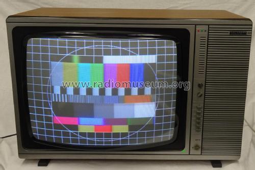Colorett 3006; Stern-Radio Staßfurt (ID = 2572052) Télévision
