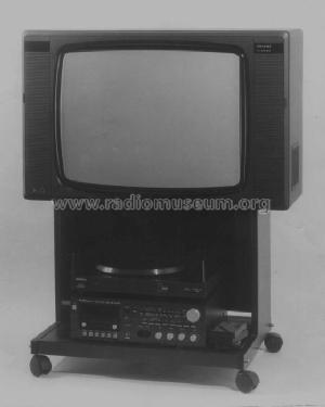 Colorlux 5220 TXT CT5220; Stern-Radio Staßfurt (ID = 591855) Television
