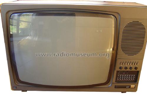 Colortron 4000; Stern-Radio Staßfurt (ID = 443735) Télévision