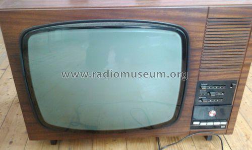 Debüt 211; Stern-Radio Staßfurt (ID = 1460056) Television