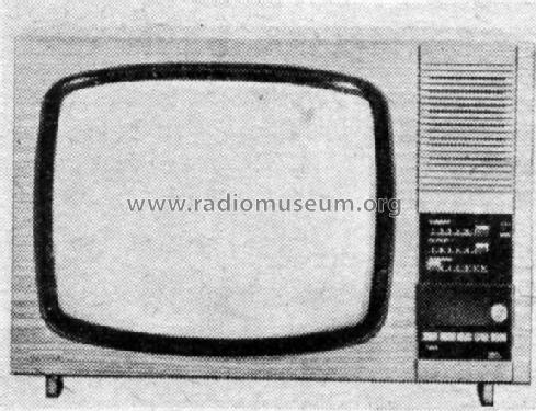 Debüt 211; Stern-Radio Staßfurt (ID = 746959) Television
