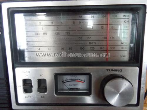 FM/AM/TV Sound/Air/PSB/Weather/Quartz LCD ST-880; Stewart Lynn Stewart (ID = 2267529) Radio