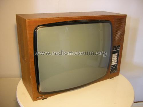 VHF/UHF FT55 73EE10; Suomen Siemens (ID = 1977899) Television