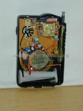 W-102; Swing Interlectronic (ID = 483413) Radio