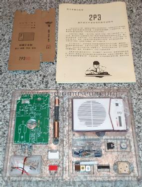 2P3; Tecsun 德生通用电器... (ID = 2683513) Kit