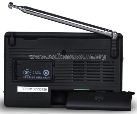 Dual Conversion Portable AM/FM/SW Radio Receiver R-9701; Tecsun 德生通用电器... (ID = 2698613) Bluetooth