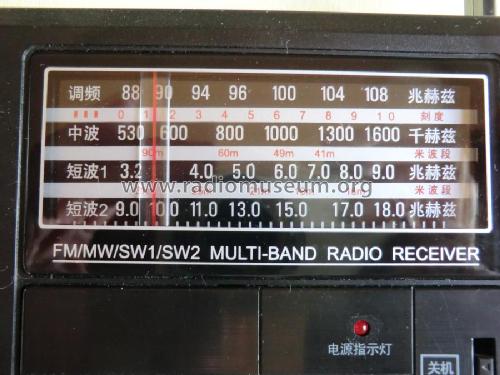 Multi-Band Radio Receiver R-306; Tecsun 德生通用电器... (ID = 1199019) Radio