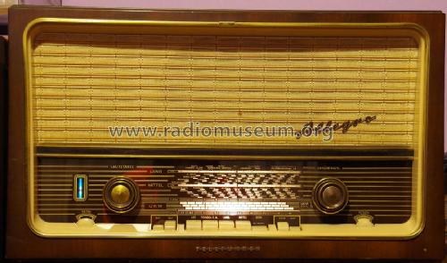 Allegro 1063; Telefunken (ID = 2054135) Radio