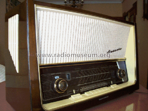 Andante 9; Telefunken (ID = 1197270) Radio