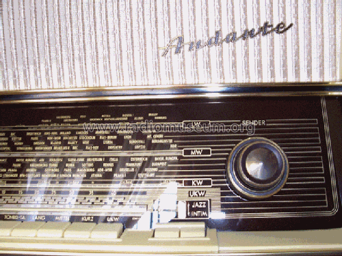 Andante 9; Telefunken (ID = 1197280) Radio