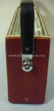 Bajazzo TS5511; Telefunken (ID = 236556) Radio