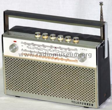 Bandola 201; Telefunken (ID = 1045655) Radio