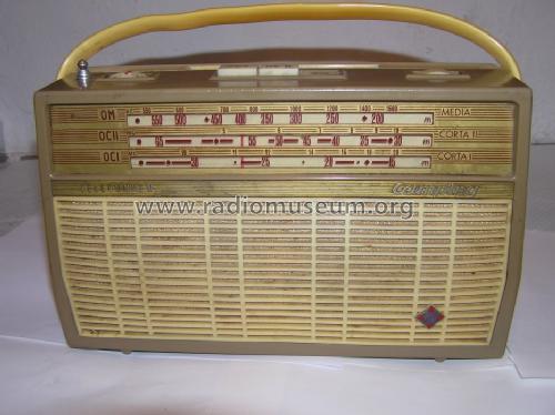 Camping BT2128; Telefunken (ID = 1130488) Radio