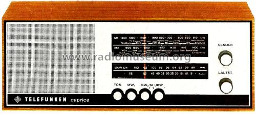 Caprice 101; Telefunken (ID = 1563815) Radio