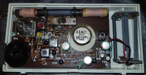 F101; Telefunken (ID = 2493030) Radio