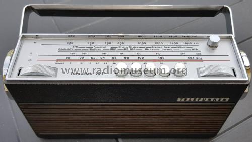 famulus 101; Telefunken (ID = 2536582) Radio