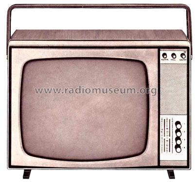 FE105P; Telefunken (ID = 2920448) Television