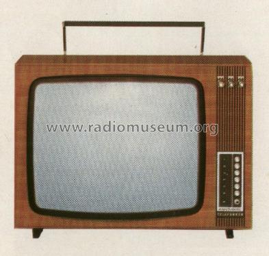 FE190P electronic Ch= 209; Telefunken (ID = 2086377) Television