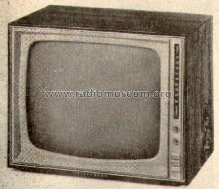 FE213T; Telefunken (ID = 528556) Televisión