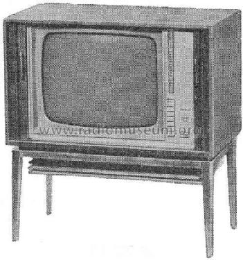 FE252St; Telefunken (ID = 454342) Television