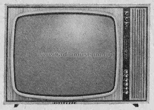 FE256T; Telefunken (ID = 301864) Television